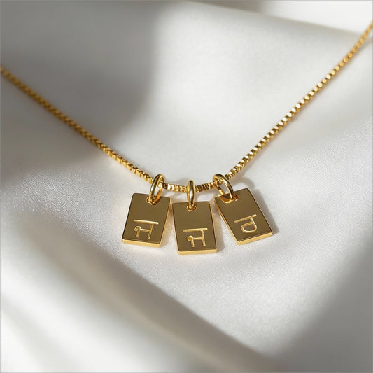 Punjabi Initial Tag Necklace | Custom Gurmukhi Charms Pendant - custom personalized jewelry detail image 2
