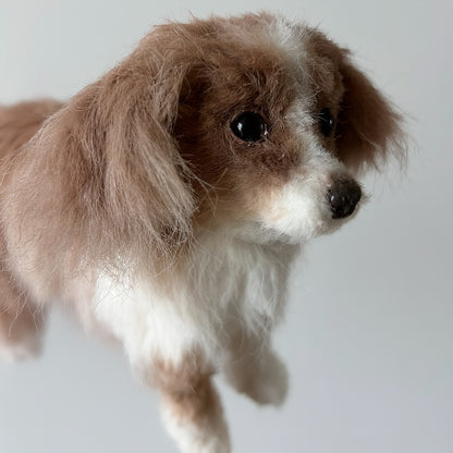 Custom Realistic Pet Clone – personalization and design detail