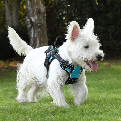 Personalized Dog Harness NO PULL Breathable Pet Harness Vest with Lovely Custom Patch Harness for Small Medium – personalization and design detail