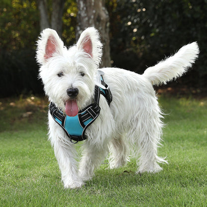 Personalized Dog Harness NO PULL Breathable Pet Harness Vest with Lovely Custom Patch Harness for Small Medium – alternate product view