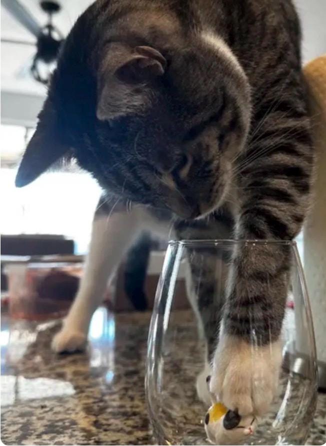 Hand-formed cat figurine displayed inside a clear stemless wine glass