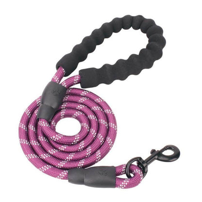Heavy-Duty Reflective Dog Leash – size and style reference