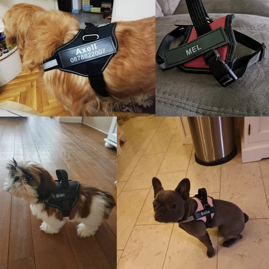 Custom Patches & Tags for Dogs | Dog Identification Tags - personalized pet gift detail image 2